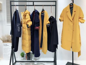 2018新款休閑時(shí)尚女裝伊布都麗雪精品冬季女裝貨源尾貨