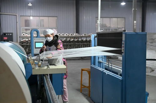 全國市場份額占比百分之六十 產(chǎn)品出口二十多個國家 荊州苧麻產(chǎn)業(yè) 成長記